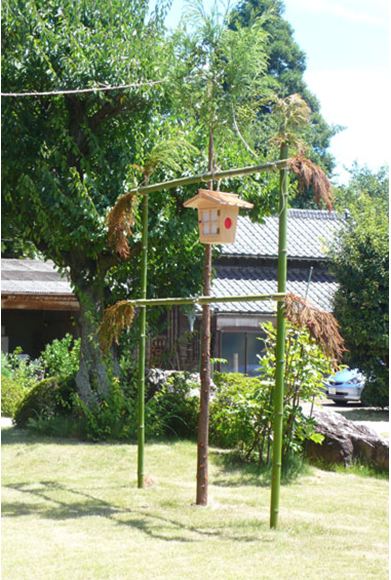杉の若木に吊るした灯篭